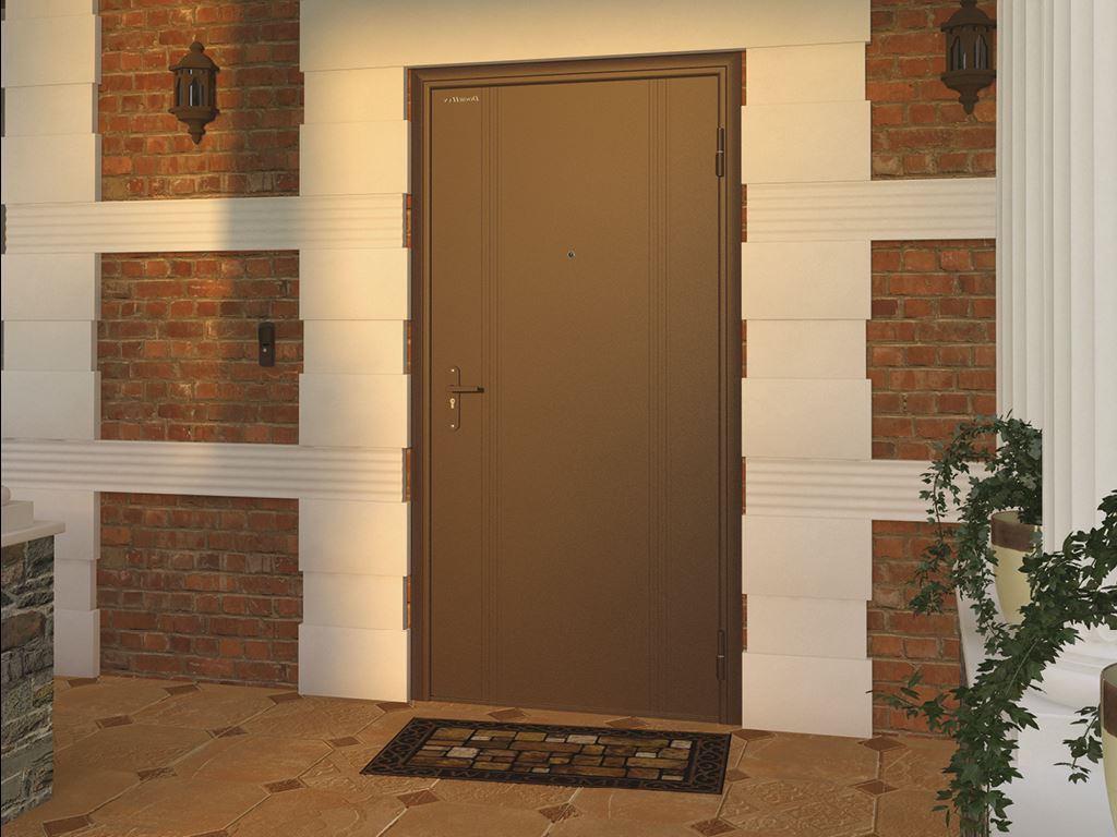 Входные двери «Эко» 8